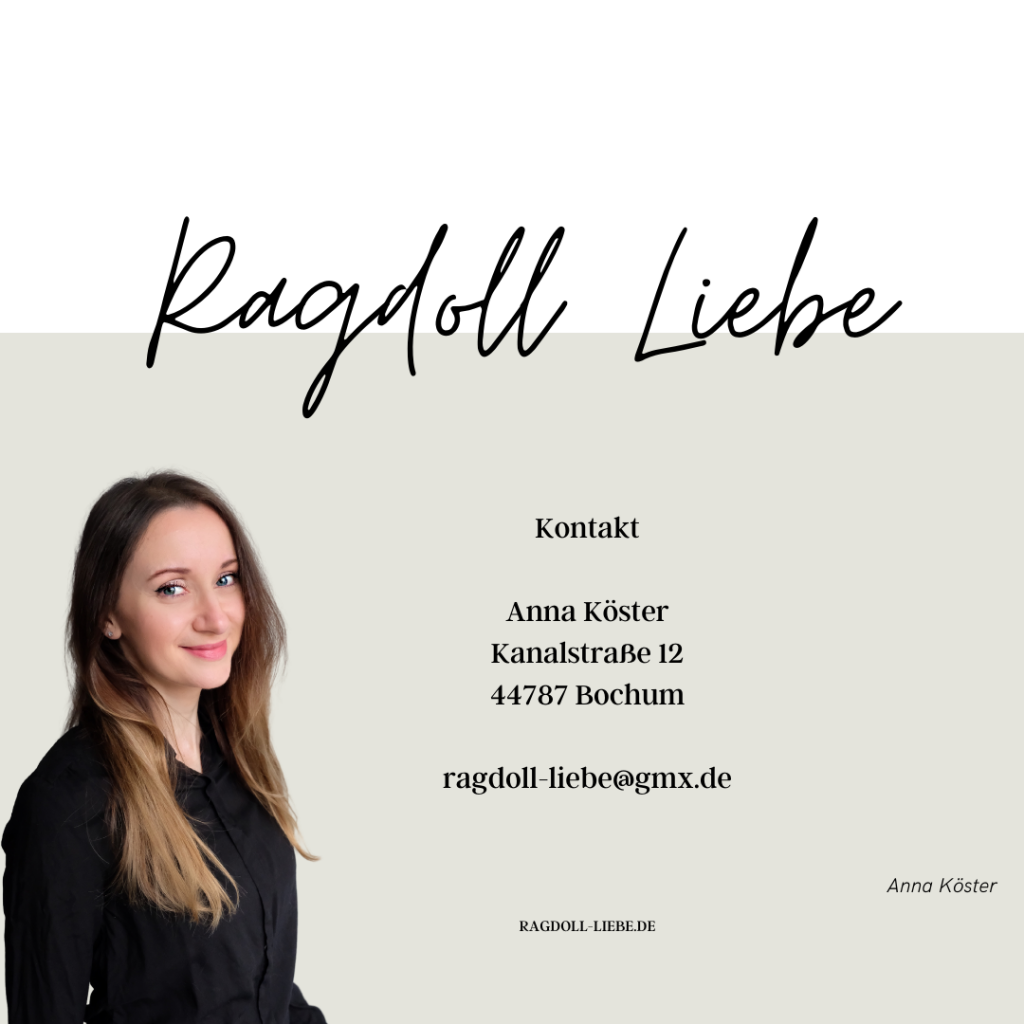 Impressum und Kontakt Ragdoll Liebe
