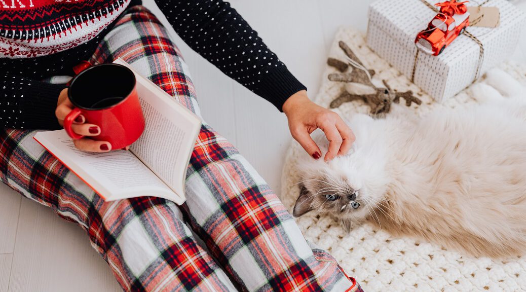 Katze kuschelt an Weihnachten